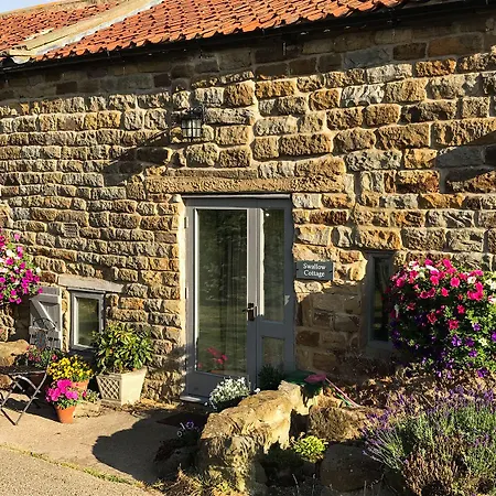 Swallow بيت للعطل سكرابورو