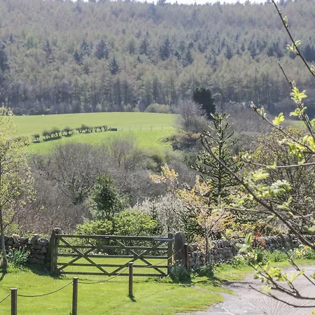 Swallow * سكرابورو