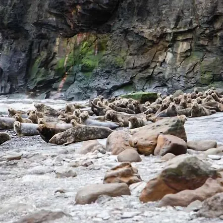 Swallow بيت للعطل *