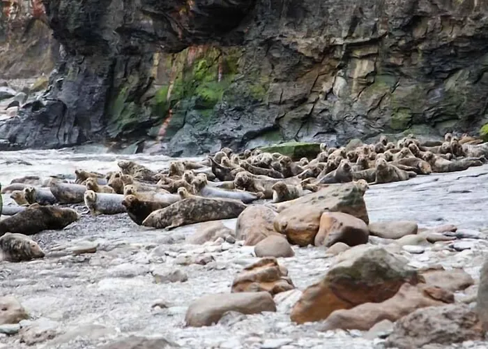 Swallow بيت للعطل *