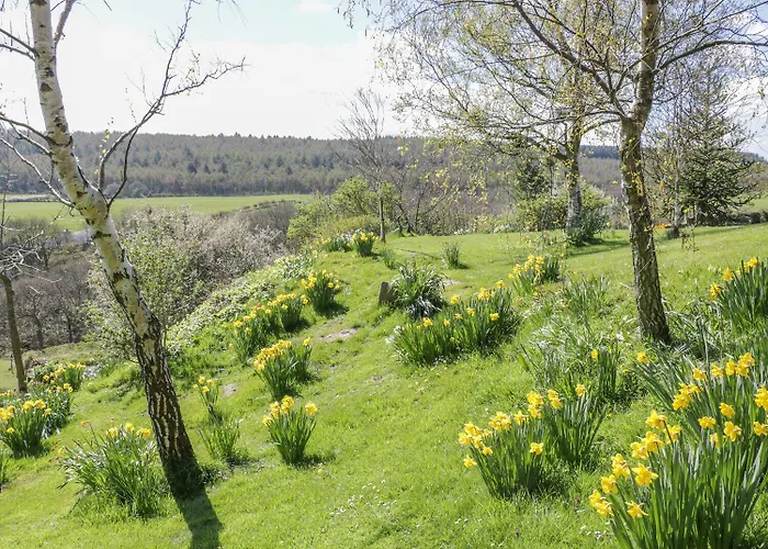 Swallow بيت للعطل سكرابورو