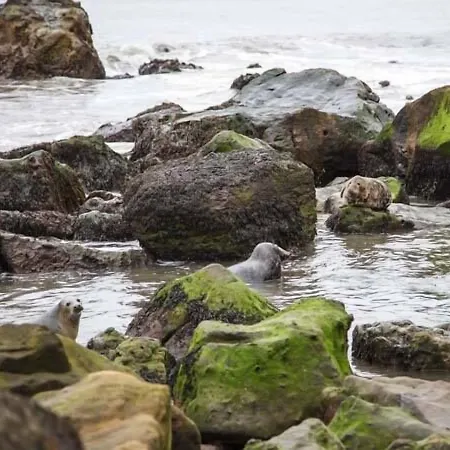 בית נופש Swallow סקארבורו