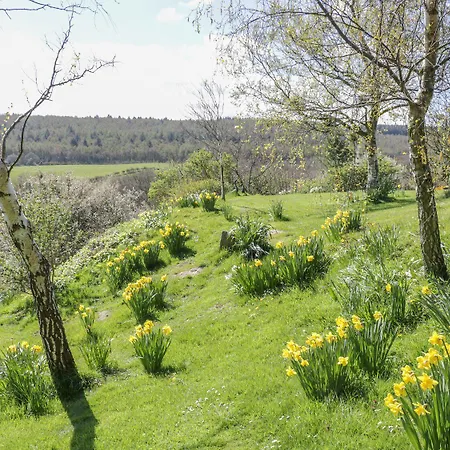 Swallow בית נופש סקארבורו